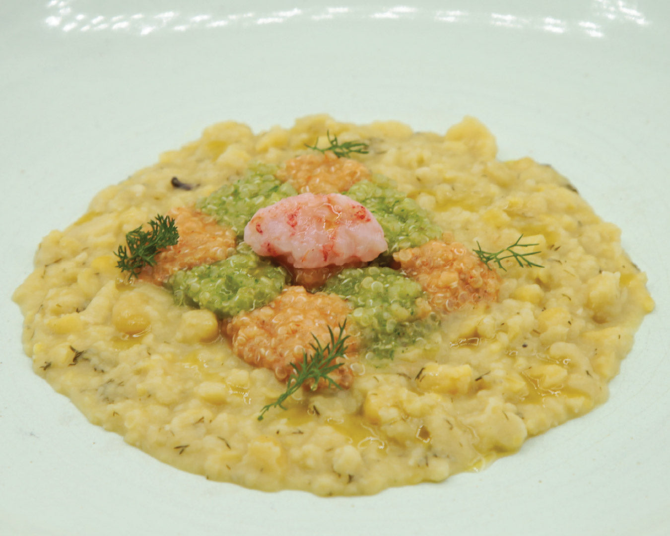 Macco di Fave e Quinoa Terra e Mare